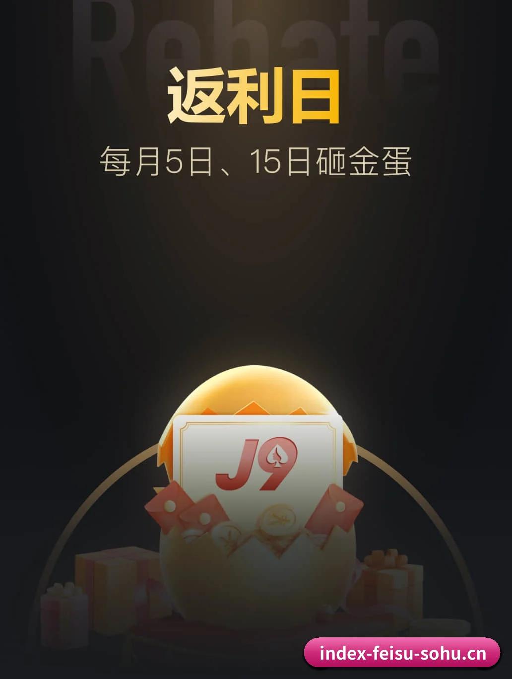 飞速体育 APP | feisu